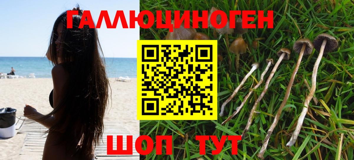 Псилоцибиновые грибы ЛСД Крымск